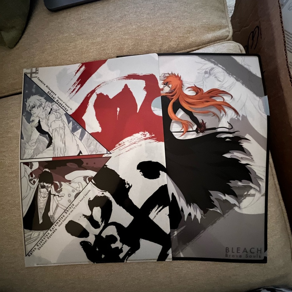 2 Bleach Clear File Folder Ichigo Kurosaki Captain Thousand Year War Anime Japan